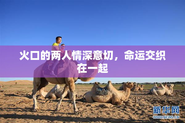 火口的两人情深意切，命运交织在一起