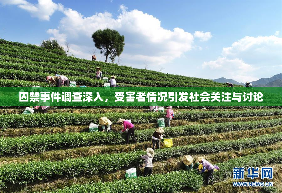囚禁事件调查深入，受害者情况引发社会关注与讨论