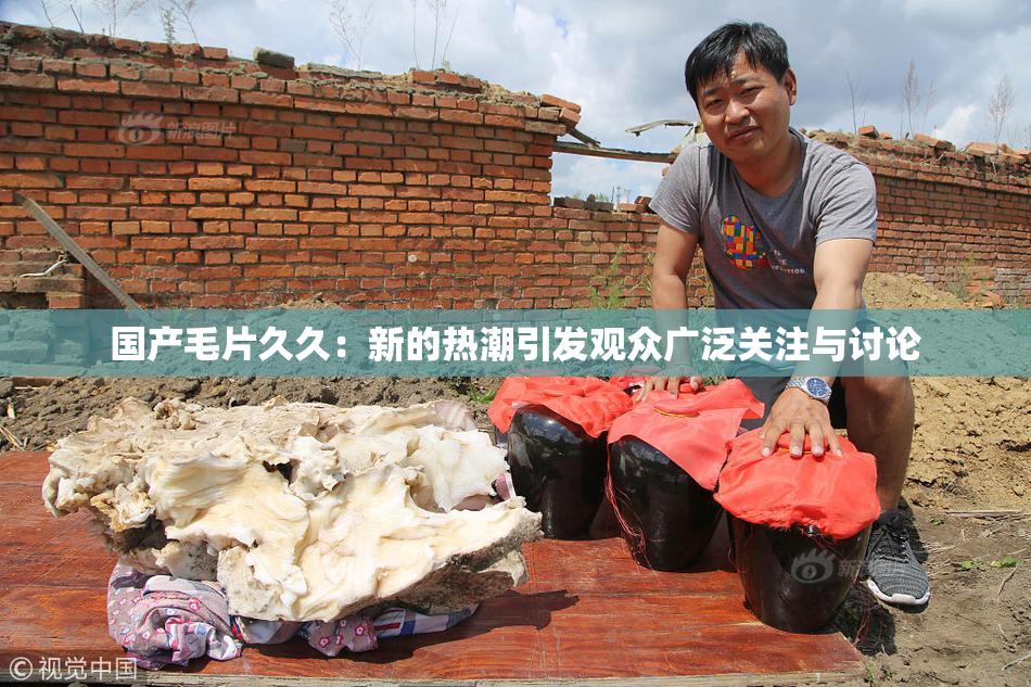 国产毛片久久：新的热潮引发观众广泛关注与讨论