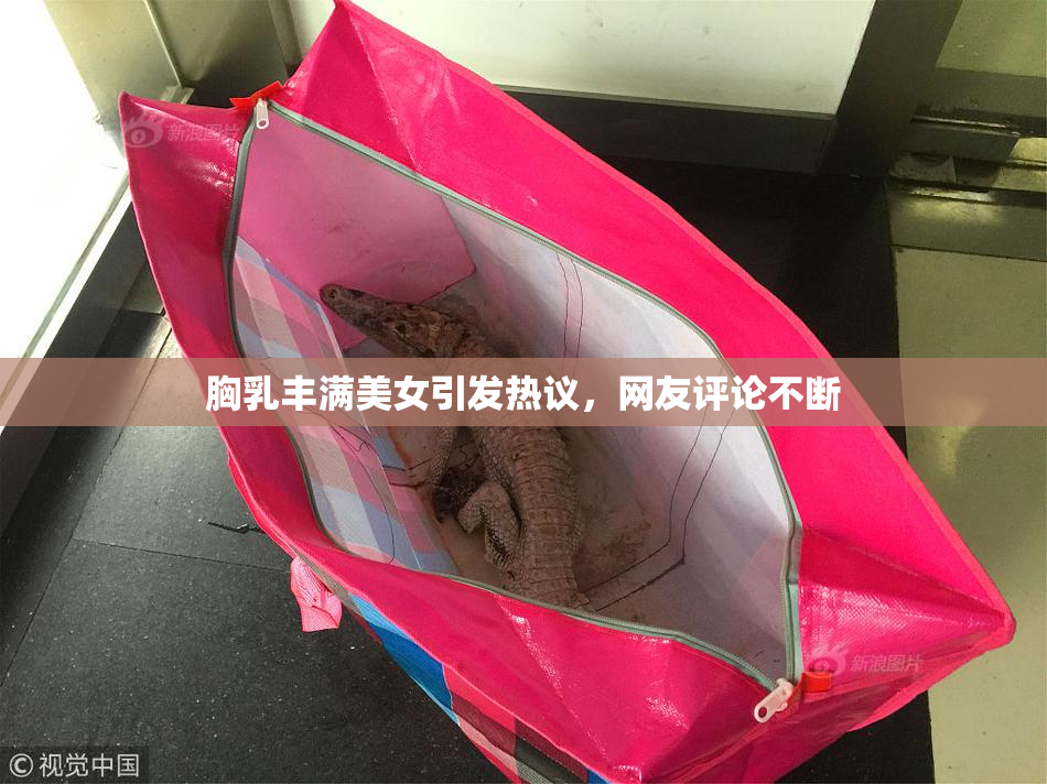 胸乳丰满美女引发热议，网友评论不断