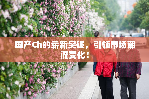 国产Ch的崭新突破，引领市场潮流变化！