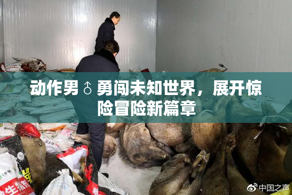 动作男♂勇闯未知世界，展开惊险冒险新篇章