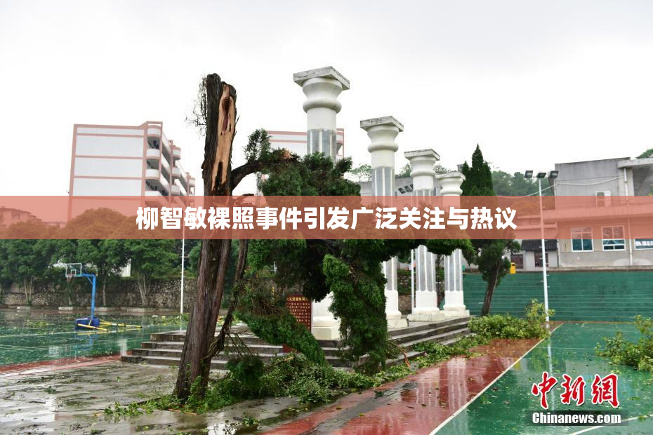 柳智敏裸照事件引发广泛关注与热议