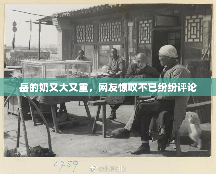 岳的奶又大又重，网友惊叹不已纷纷评论