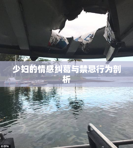 少妇的情感纠葛与禁忌行为剖析