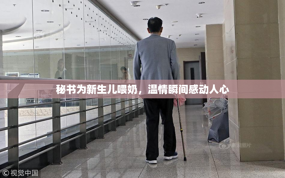 秘书为新生儿喂奶，温情瞬间感动人心