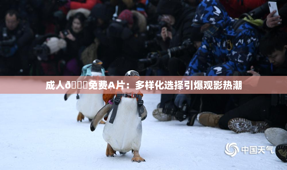 成人🔞免费A片：多样化选择引爆观影热潮