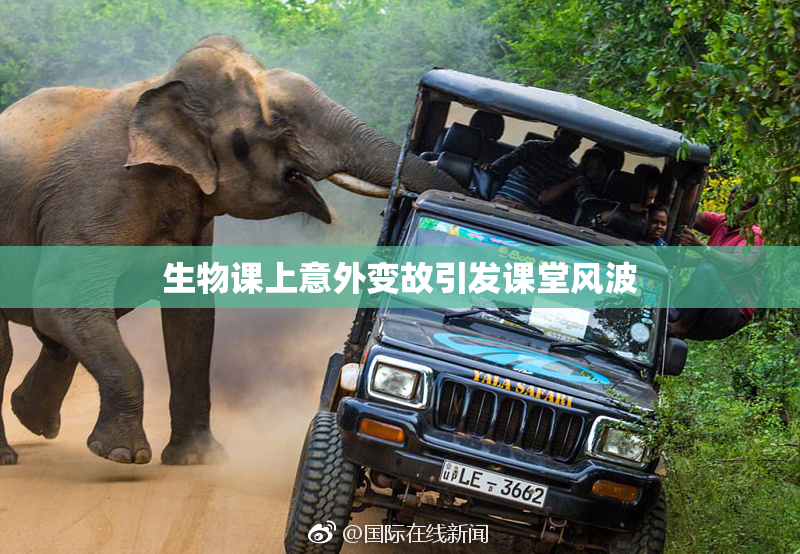 生物课上意外变故引发课堂风波