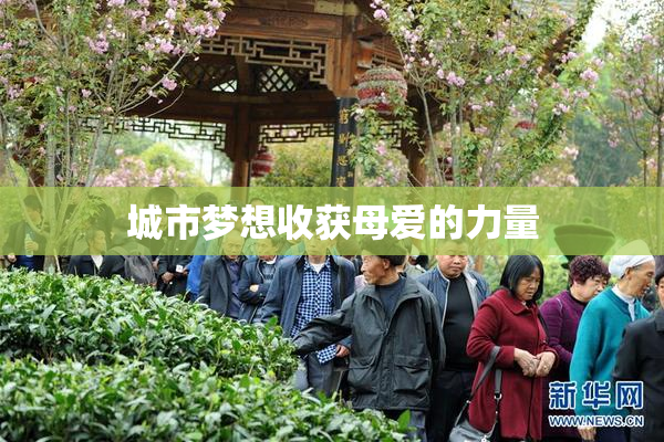城市梦想收获母爱的力量