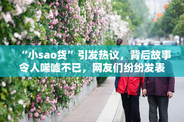 “小sao货”引发热议，背后故事令人唏嘘不已，网友们纷纷发表看法。