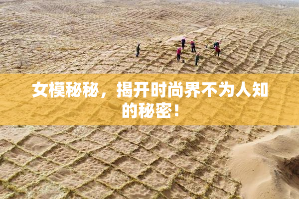 女模秘秘，揭开时尚界不为人知的秘密！