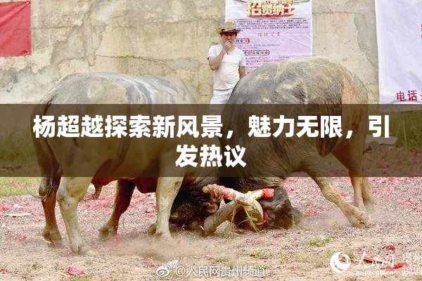 杨超越探索新风景，魅力无限，引发热议
