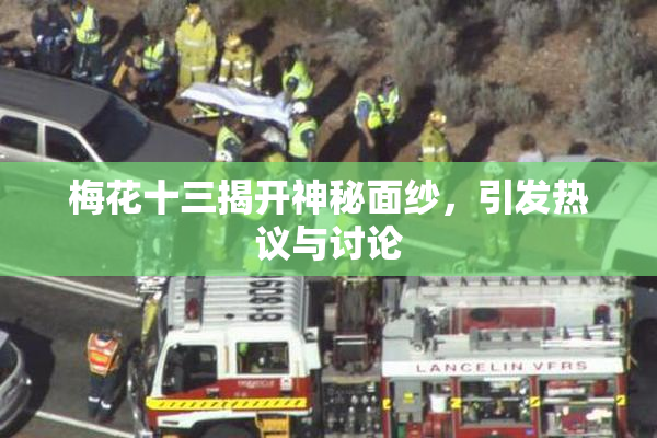 梅花十三揭开神秘面纱，引发热议与讨论