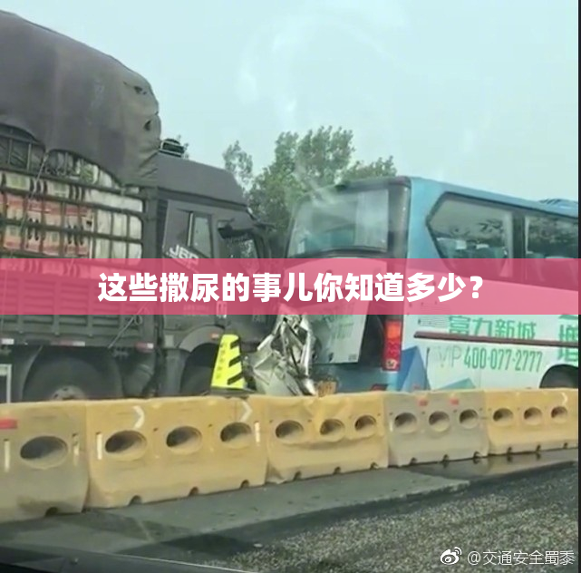 这些撒尿的事儿你知道多少？