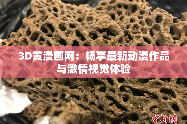 3D黄漫画网：畅享最新动漫作品与激情视觉体验