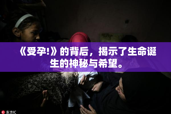 《受孕!》的背后，揭示了生命诞生的神秘与希望。