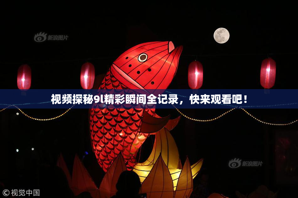 视频探秘9l精彩瞬间全记录，快来观看吧！