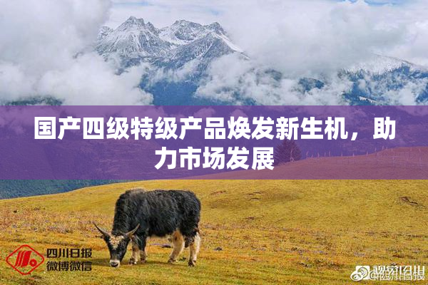 国产四级特级产品焕发新生机，助力市场发展