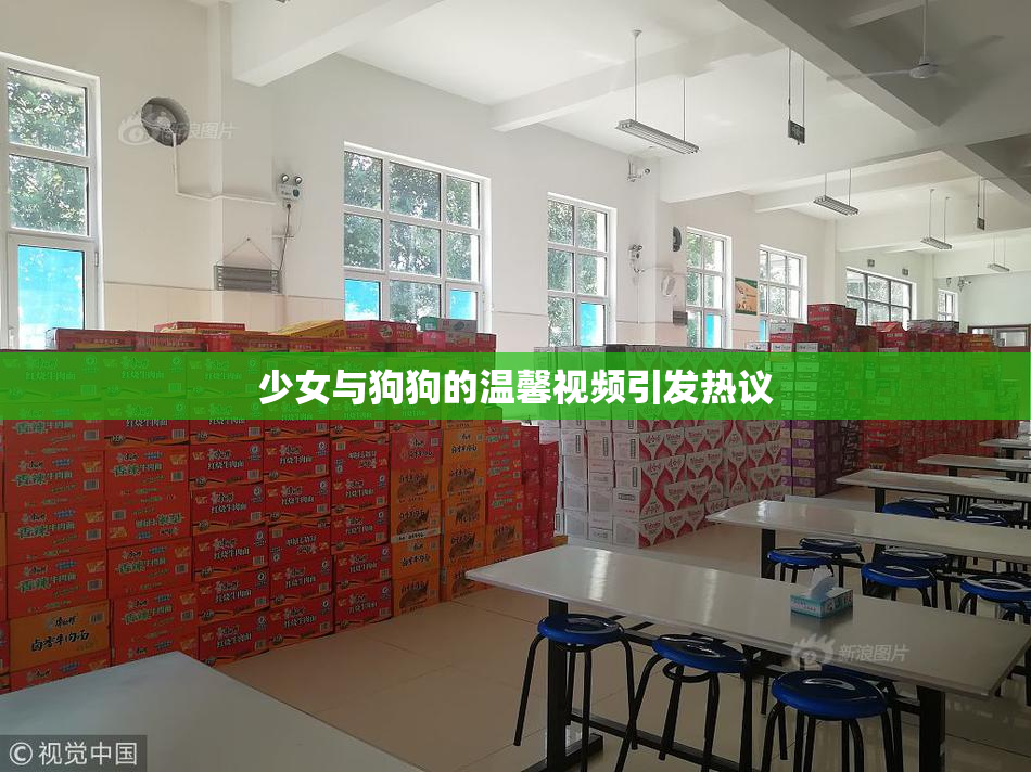 少女与狗狗的温馨视频引发热议