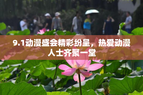 9.1动漫盛会精彩纷呈，热爱动漫人士齐聚一堂