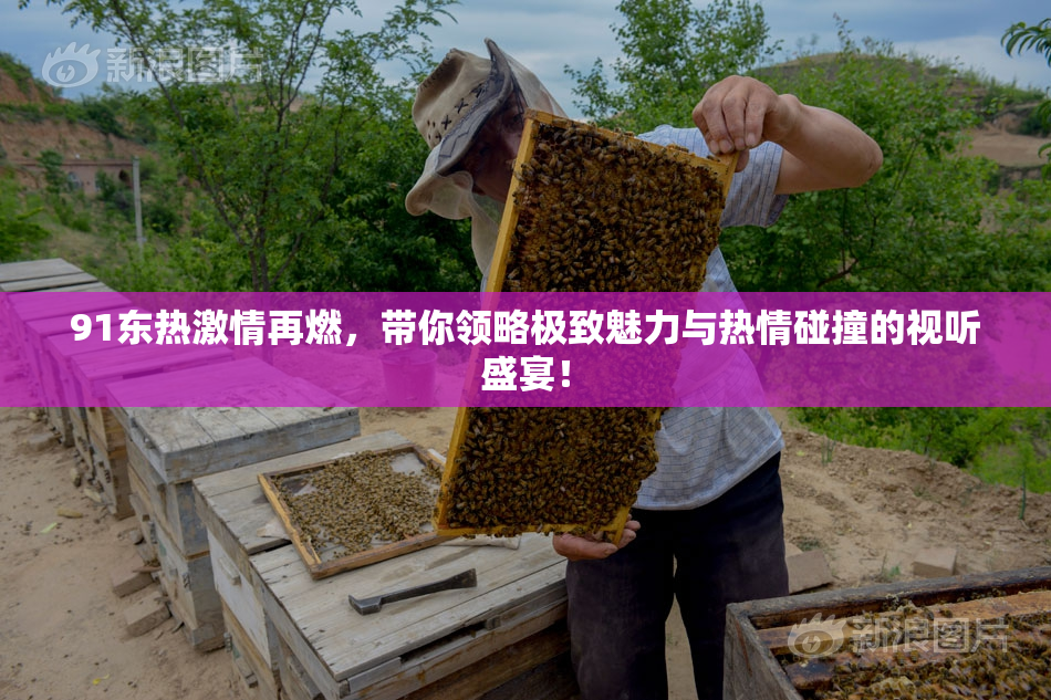 91东热激情再燃，带你领略极致魅力与热情碰撞的视听盛宴！