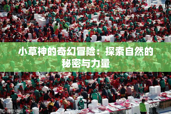 小草神的奇幻冒险：探索自然的秘密与力量