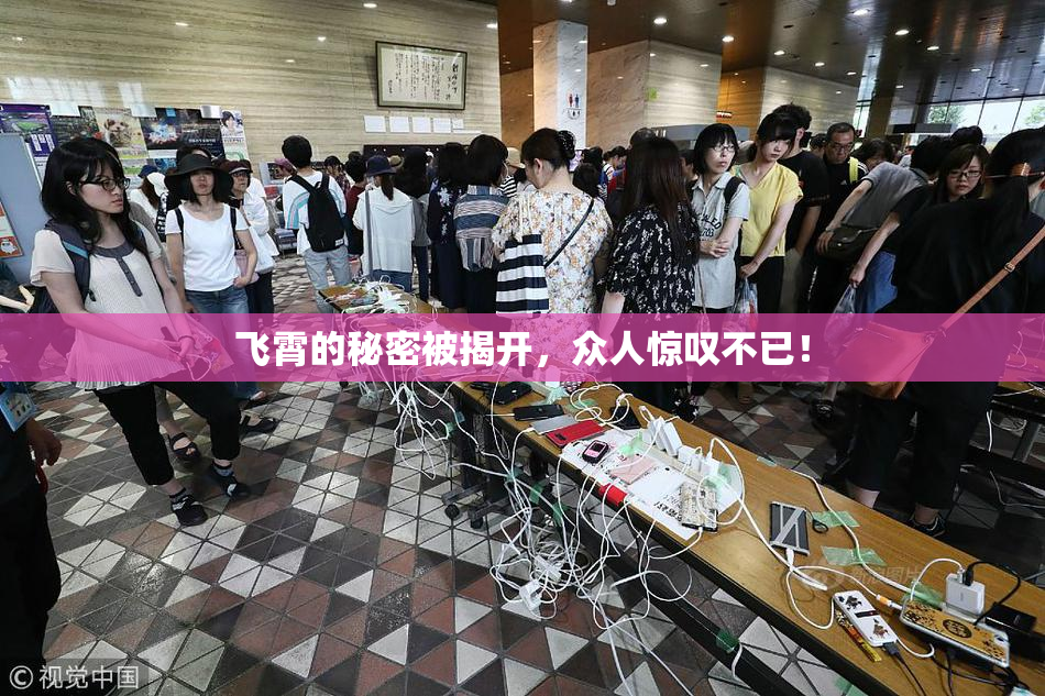 飞霄的秘密被揭开，众人惊叹不已！