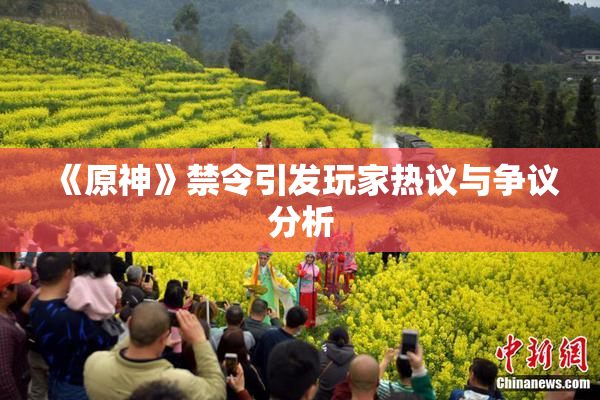 《原神》禁令引发玩家热议与争议分析