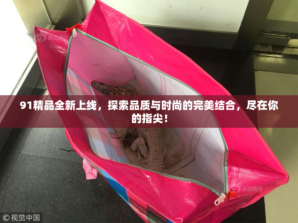 91精品全新上线，探索品质与时尚的完美结合，尽在你的指尖！