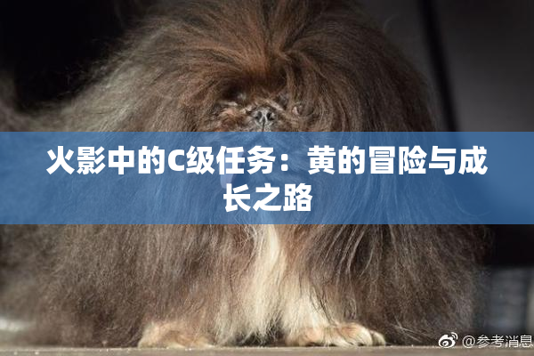 火影中的C级任务：黄的冒险与成长之路
