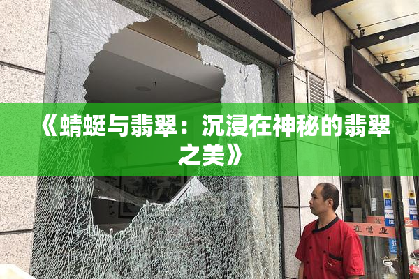 《蜻蜓与翡翠：沉浸在神秘的翡翠之美》
