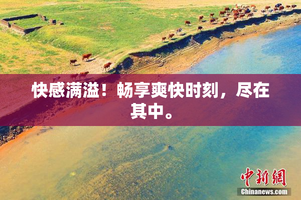 快感满溢！畅享爽快时刻，尽在其中。