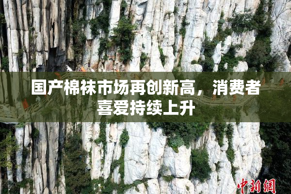 国产棉袜市场再创新高，消费者喜爱持续上升