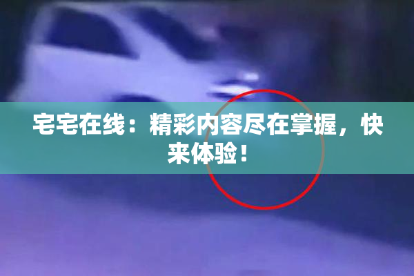 宅宅在线：精彩内容尽在掌握，快来体验！