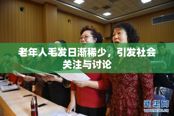 老年人毛发日渐稀少，引发社会关注与讨论