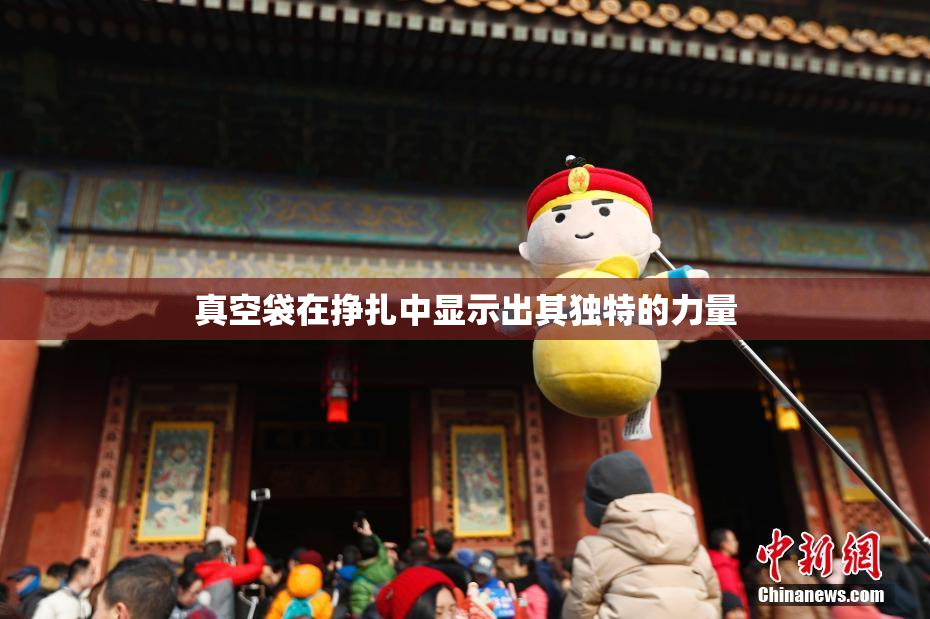 真空袋在挣扎中显示出其独特的力量