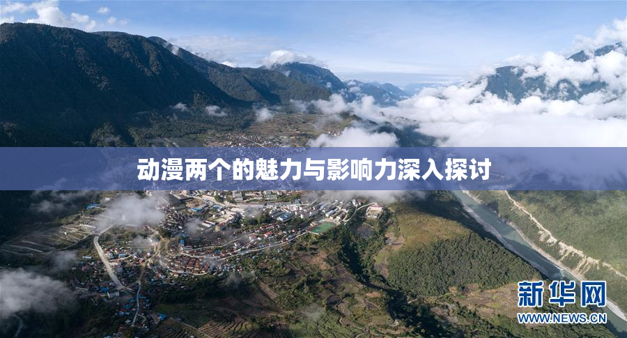 动漫两个的魅力与影响力深入探讨