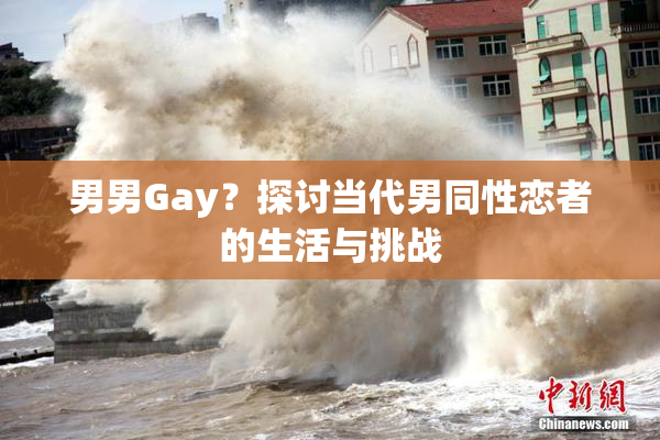 男男Gay？探讨当代男同性恋者的生活与挑战