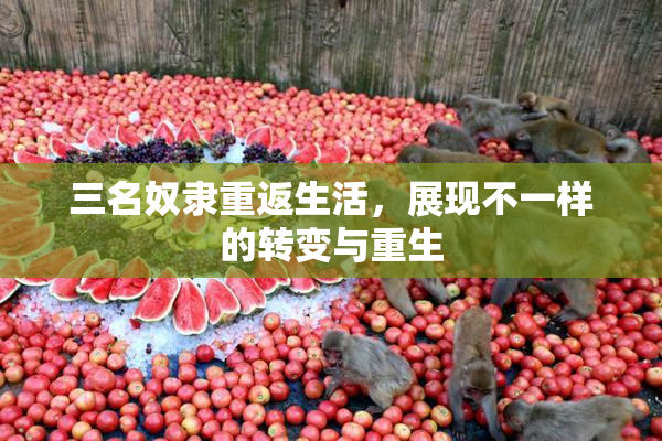 三名奴隶重返生活，展现不一样的转变与重生