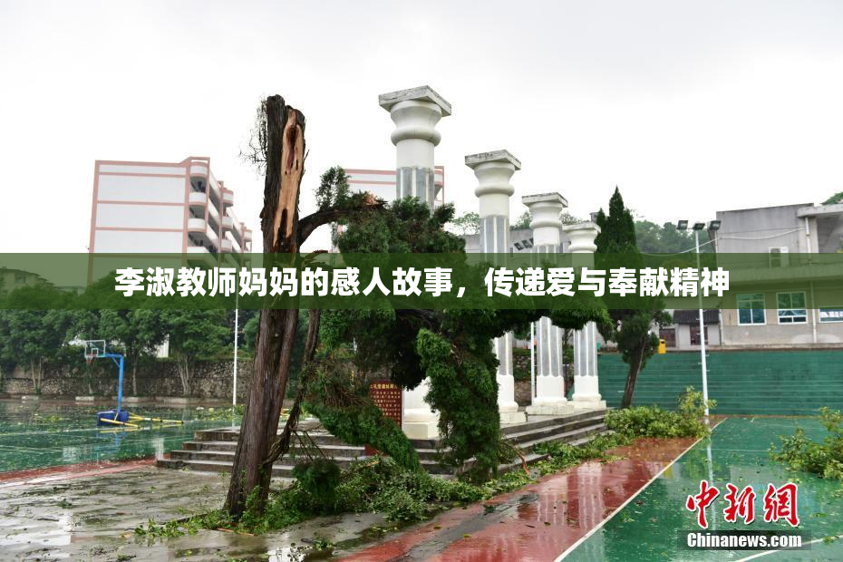 李淑教师妈妈的感人故事，传递爱与奉献精神