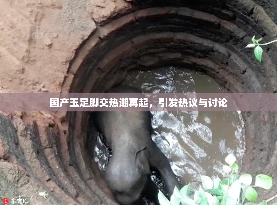 国产玉足脚交热潮再起，引发热议与讨论