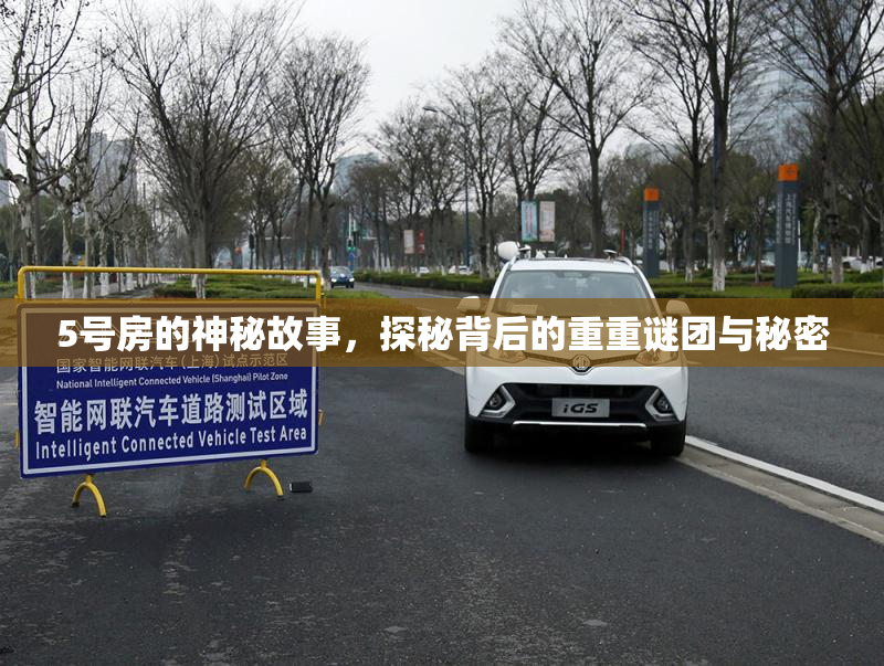 5号房的神秘故事，探秘背后的重重谜团与秘密