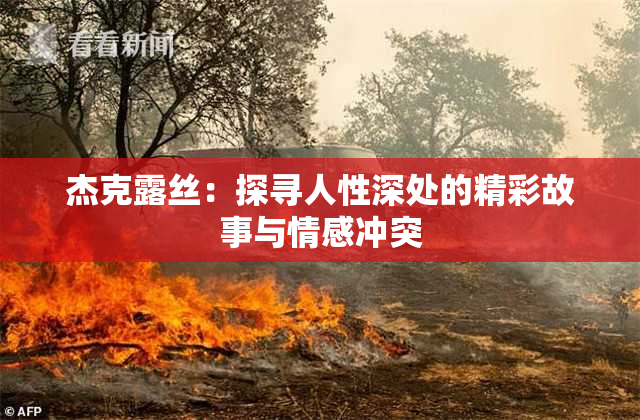 杰克露丝：探寻人性深处的精彩故事与情感冲突