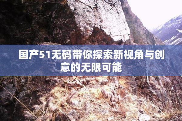 国产51无码带你探索新视角与创意的无限可能