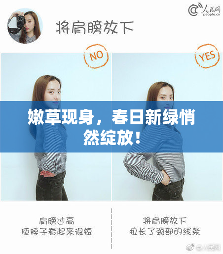 嫩草现身，春日新绿悄然绽放！