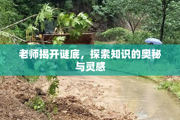 老师揭开谜底，探索知识的奥秘与灵感