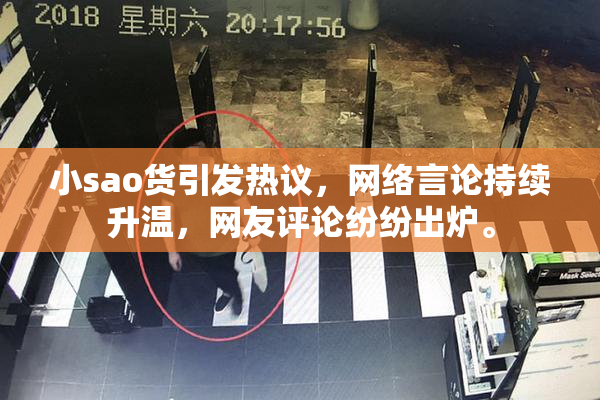 小sao货引发热议，网络言论持续升温，网友评论纷纷出炉。