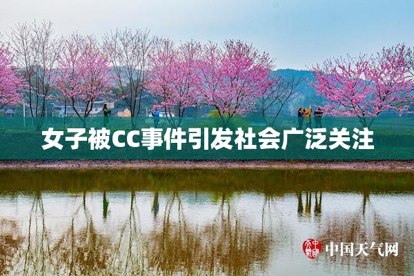 女子被CC事件引发社会广泛关注
