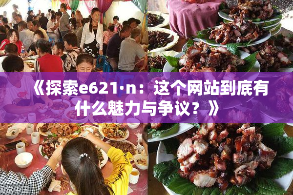 《探索e621·n：这个网站到底有什么魅力与争议？》