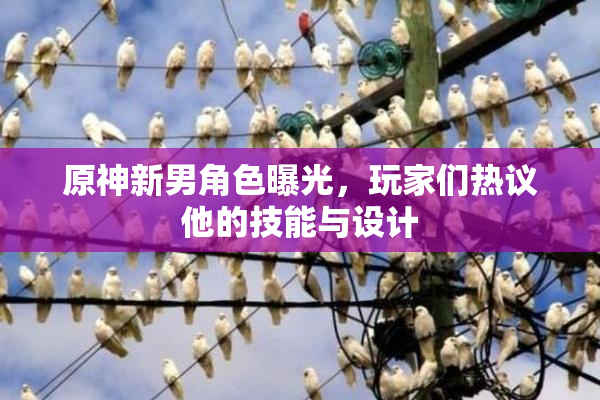 原神新男角色曝光，玩家们热议他的技能与设计